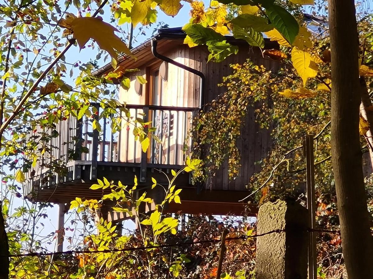 Hotel Waldquelle - Baumhaushotel Aerzen Eksteriør billede